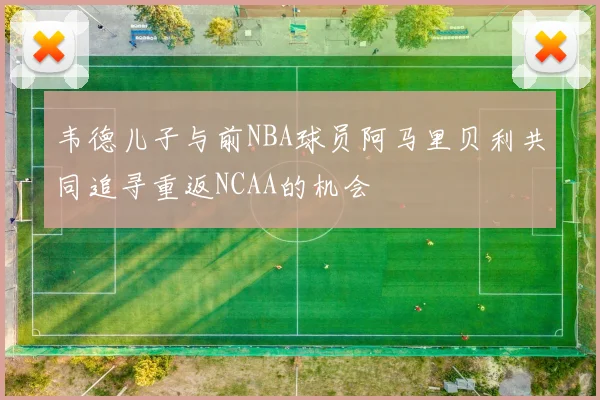 韦德儿子与前NBA球员阿马里贝利共同追寻重返NCAA的机会
